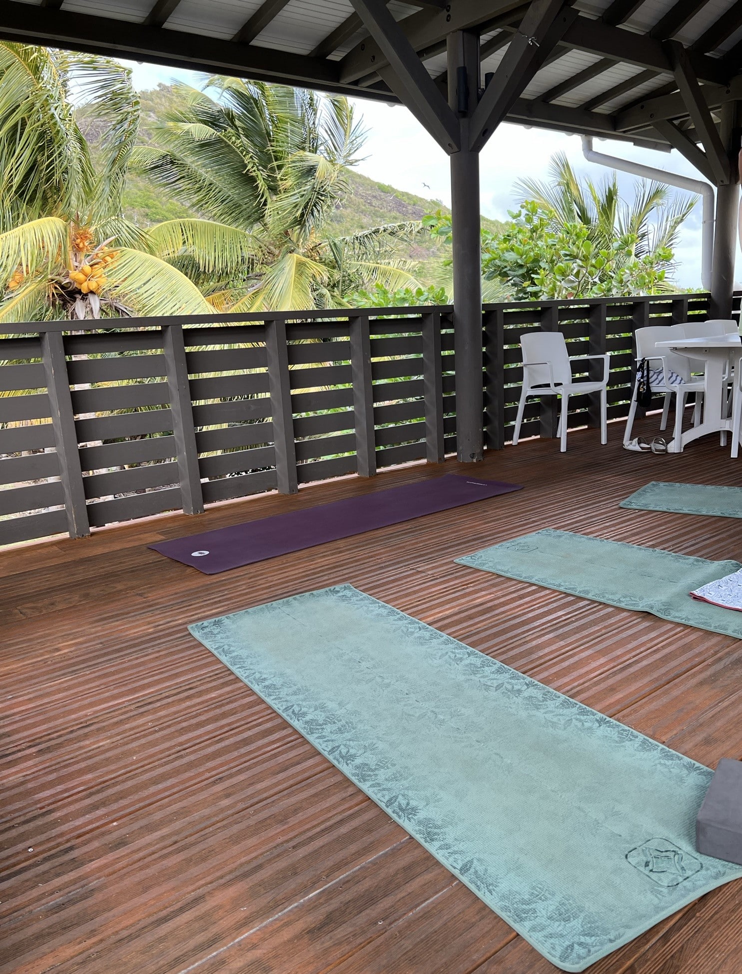 yoga en extérieur sur la péniche en Guadeloupe
